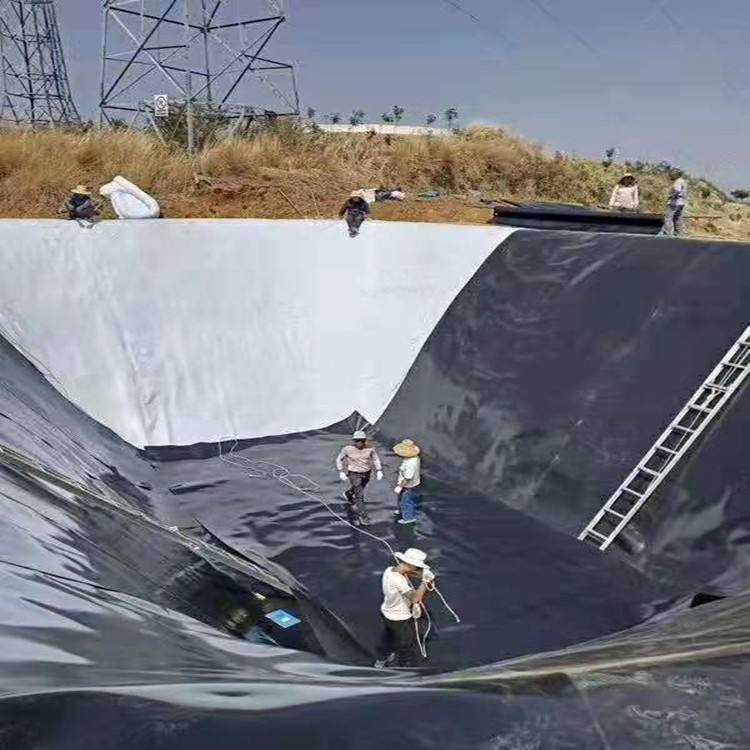 农业家用蓄水池黄瓜视频APP下载地址膜
