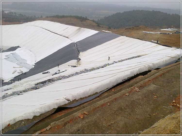 黄瓜视频APP下载地址布特征参数测量及变化