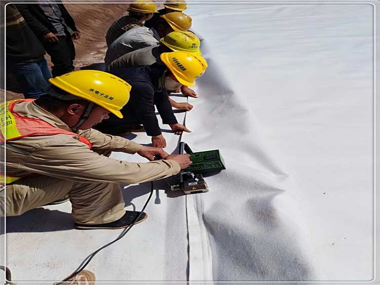 复合黄瓜视频APP下载地址膜在红旗河工程应用所向披靡