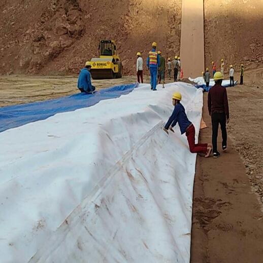水库大坝整体防渗方案—黄瓜视频APP下载地址膜成功案例