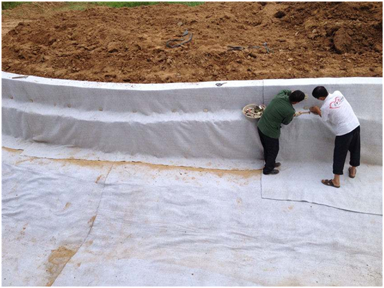 钠基黄瓜视频APP免费下载进入工地的技术规程体现