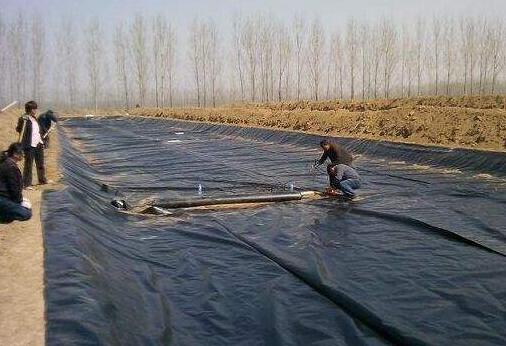 复合黄瓜视频APP下载地址膜在红旗河工程应用 所向披靡