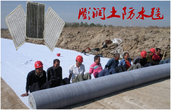 钠基黄瓜视频APP免费下载进入工地的技术规程体现