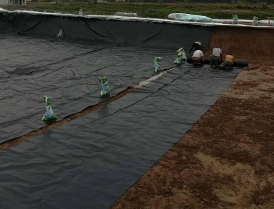 黄瓜视频APP下载地址膜材料选择几点建议