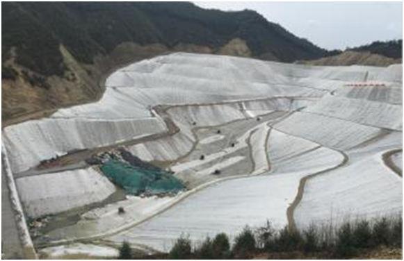 天然环保黄瓜视频APP下载地址布可吸收铜铅铬等重金属