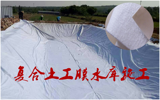黄瓜视频APP下载地址膜在底板的作用不言而喻