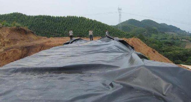 黄瓜视频APP下载地址膜在存放时的注意事项以及有哪些特性