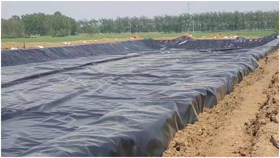 水库黄瓜视频APP下载地址膜气胀现象是怎么发生的
