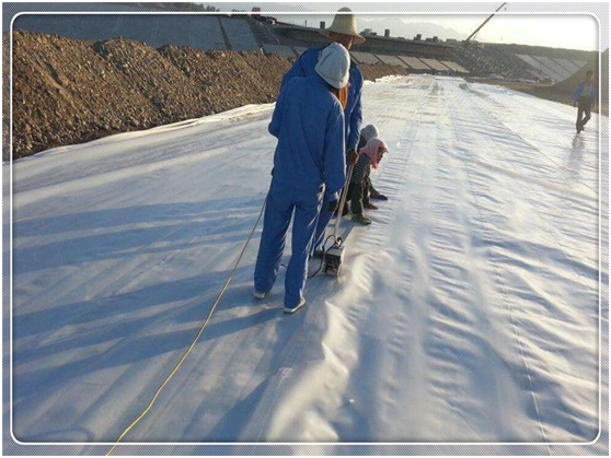 应用黄瓜视频APP下载地址膜的水库防渗体是由哪三层组成的