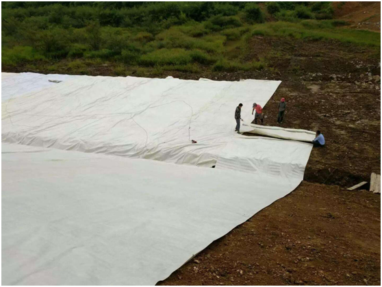 黄瓜视频APP下载地址膜覆盖对渗滤液填埋气体病虫害的现实意义