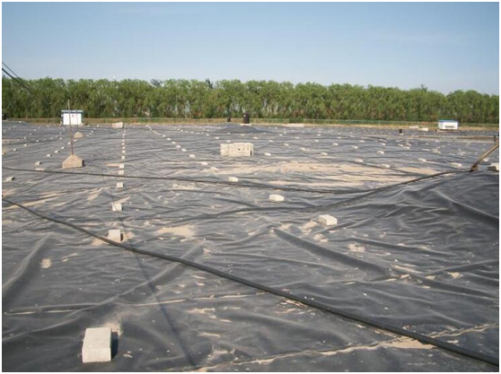 黄瓜视频APP下载地址膜在填埋场填埋区域临时覆盖要求
