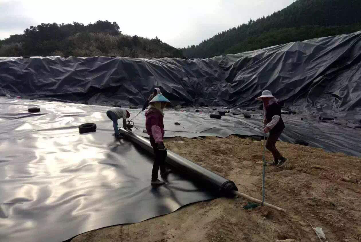 黄瓜视频APP下载地址膜与垫层界面摩擦角越小，膜内拉力越大。膜内拉力从坡脚开始逐渐增长，到坡顶锚固端达到最大值。