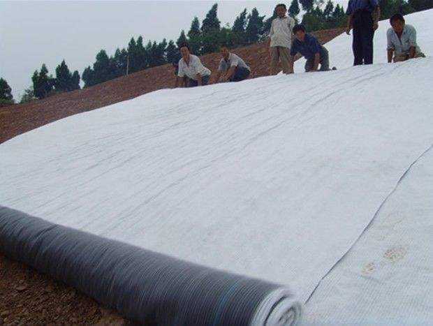 多塘生态补水系统为什么推荐天然钠基黄瓜视频APP免费下载？