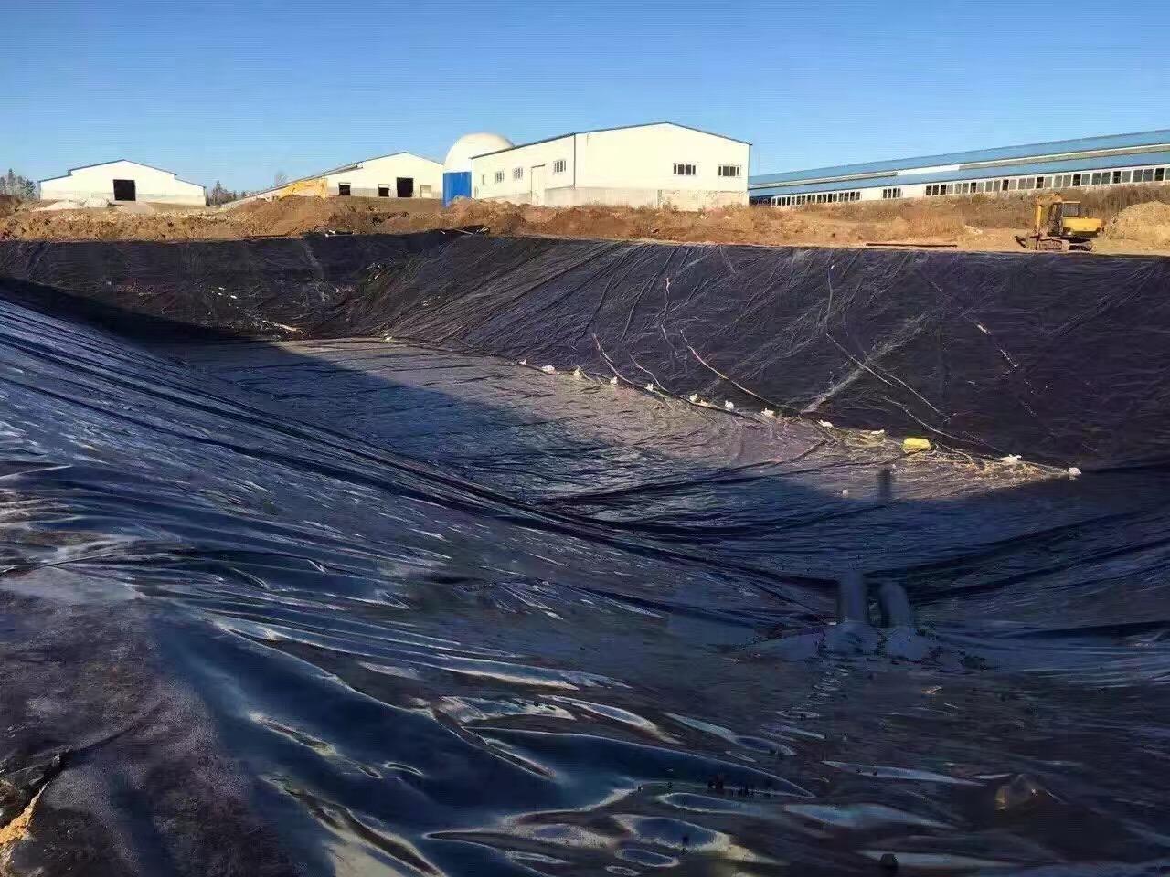 水库铺设黄瓜视频APP下载地址膜底部垫层15cm细沙的作用？