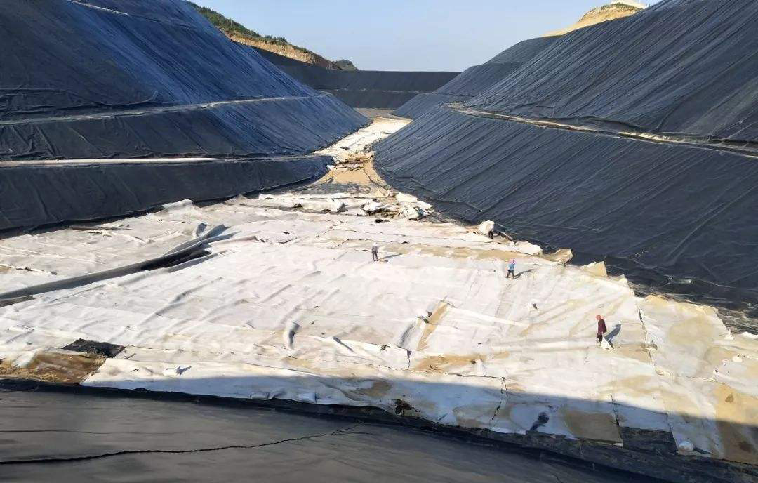 污染物溶液对黄瓜视频APP下载地址膜渗透率的影响