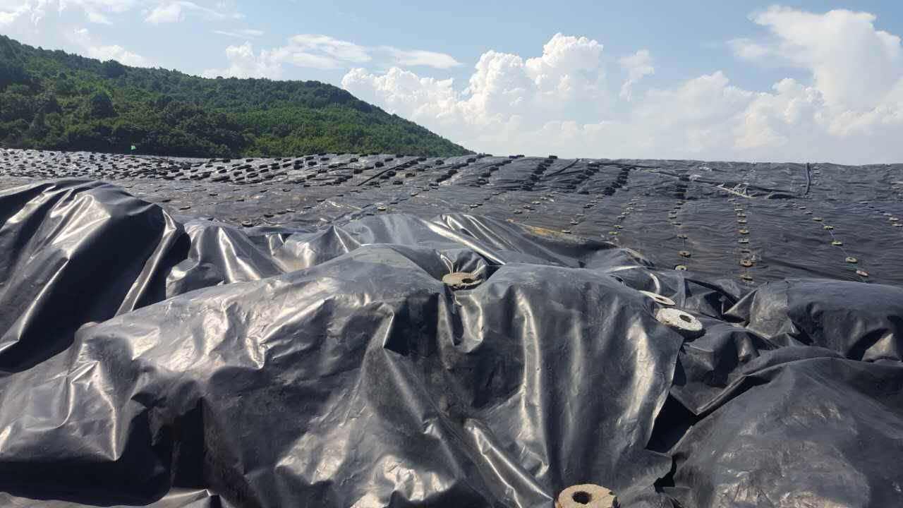 戈壁滩蓄水池选用HDPE黄瓜视频APP下载地址膜的缘由