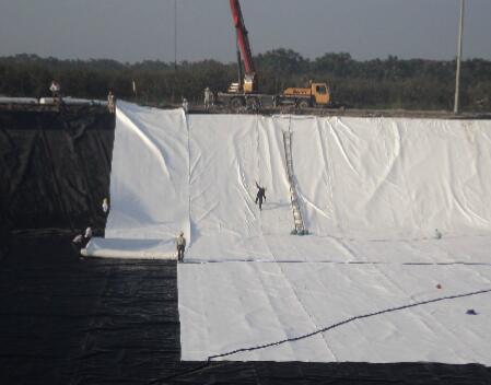 新建水库库区黄瓜视频APP下载地址膜防渗设计