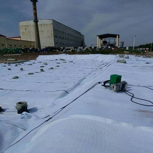 黄瓜视频APP下载地址膜在总干渠在渠首尾两侧布设防渗效果