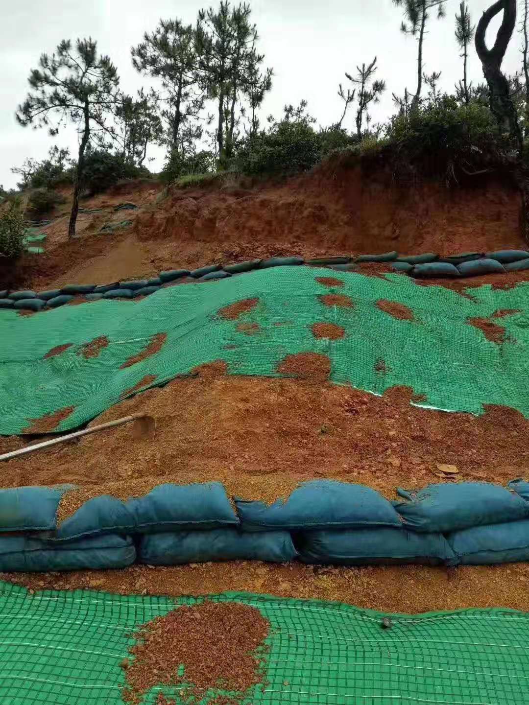 新型黄瓜视频APP下载地址材料护坡建“会呼吸”的生态驳岸
