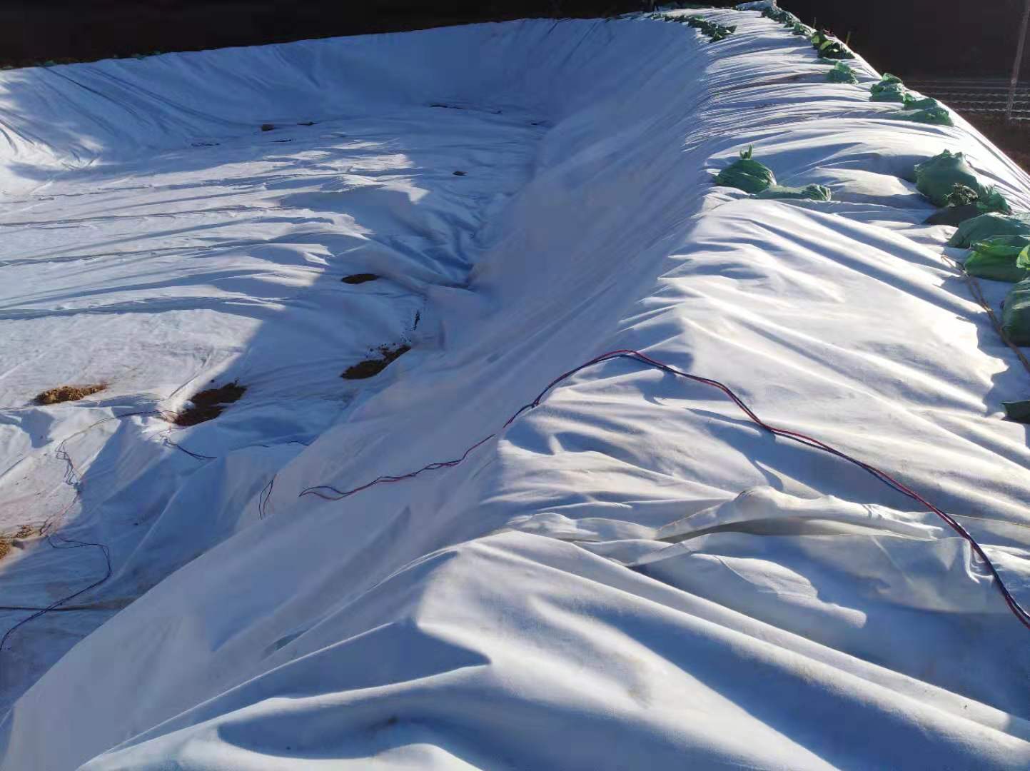 复合黄瓜视频APP下载地址膜方式总体与防水层结构加固的经济收益