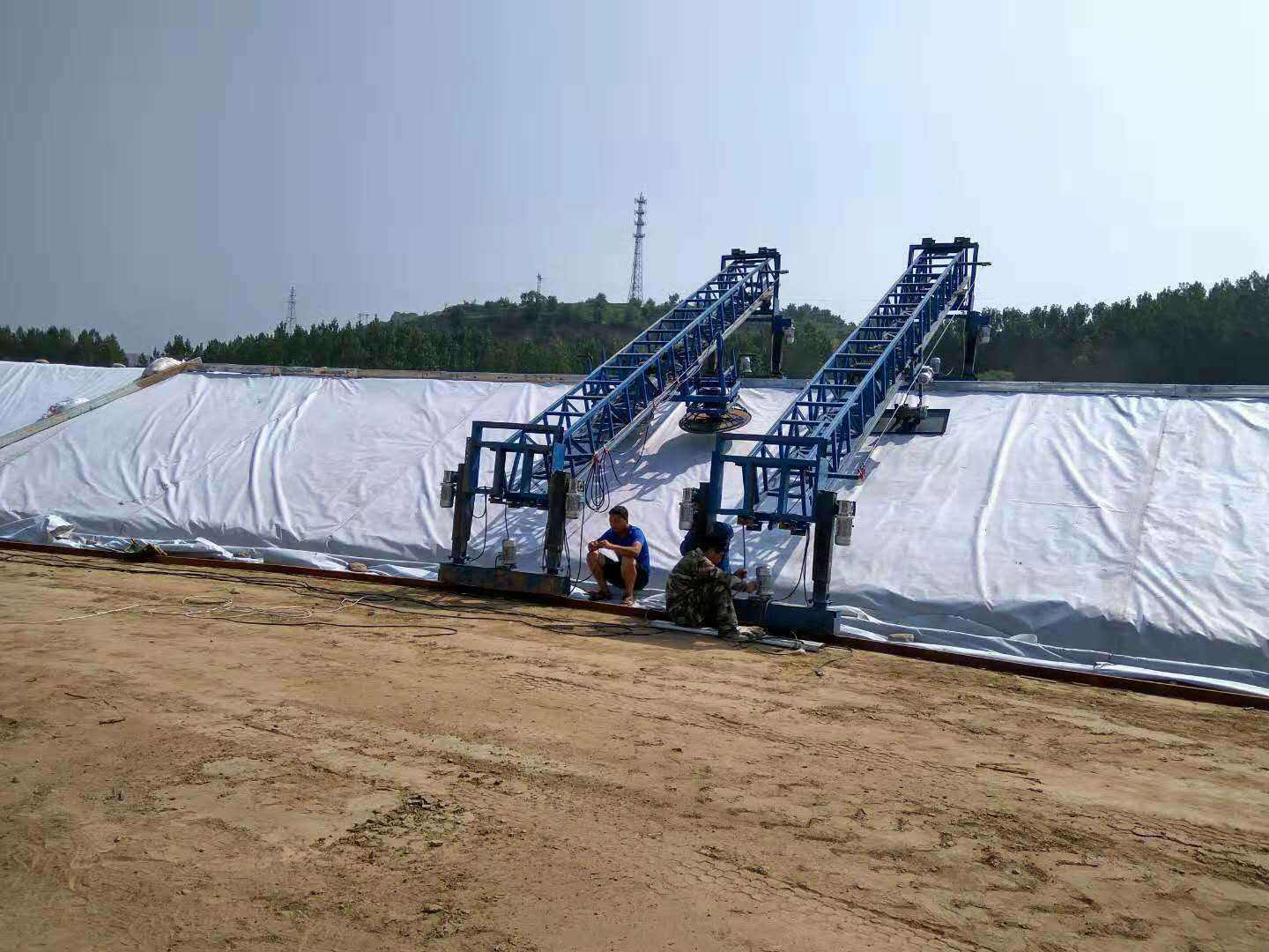 黄瓜视频APP下载地址布反滤层区域由哪些结构构成？