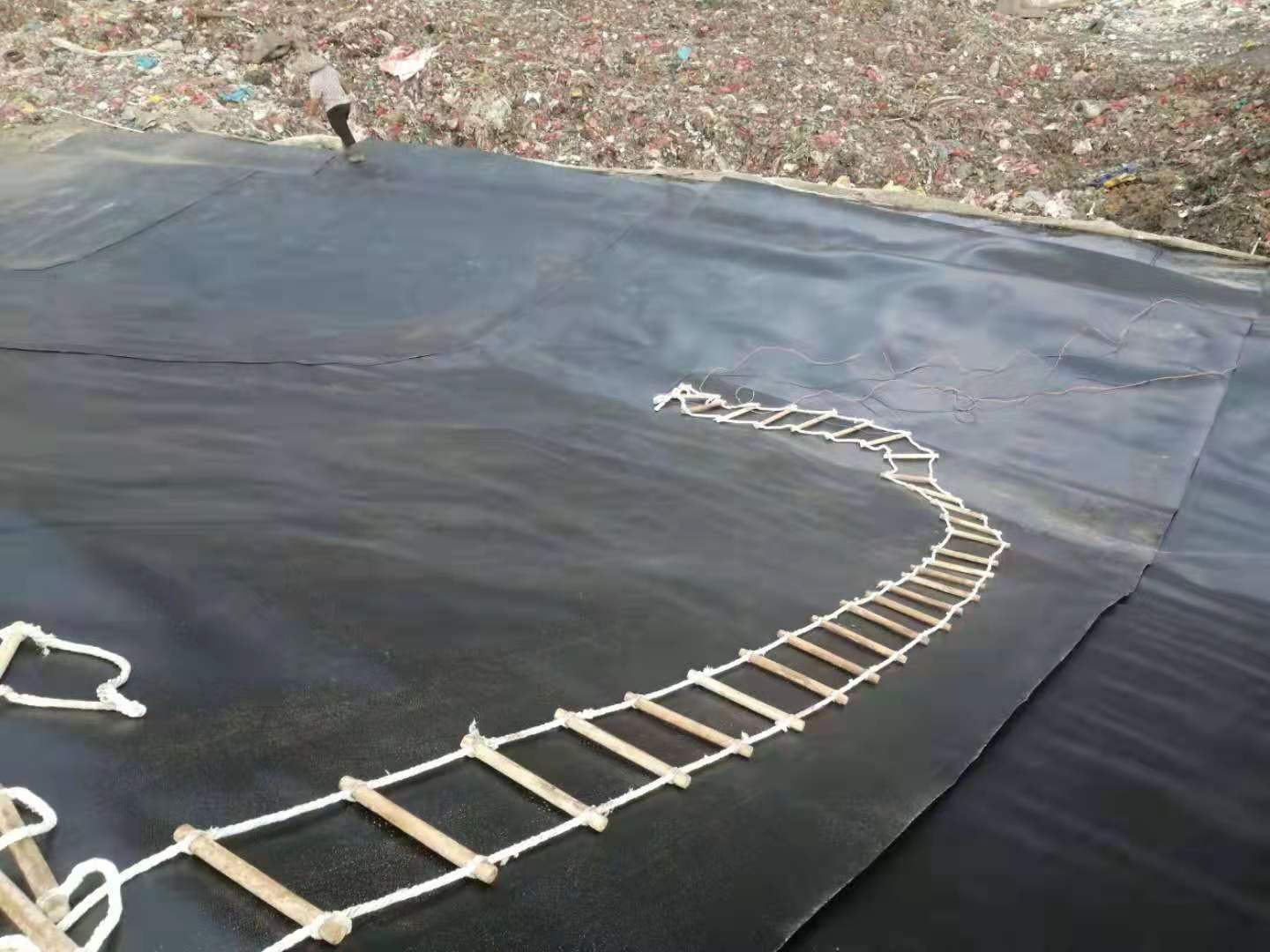 复合膜、PVC黄瓜视频APP下载地址膜、HDPE黄瓜视频APP下载地址膜性能比较