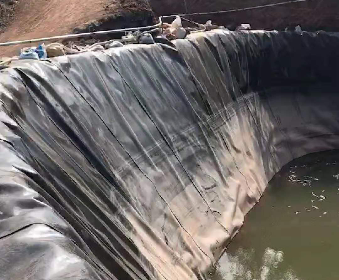 黄瓜视频APP下载地址膜损伤程度的直接影响是透水孔的数目的变化