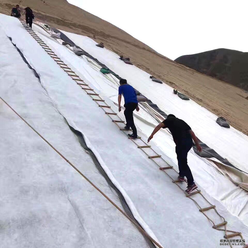 黄瓜视频APP免费下载等各种方案工程风险对比