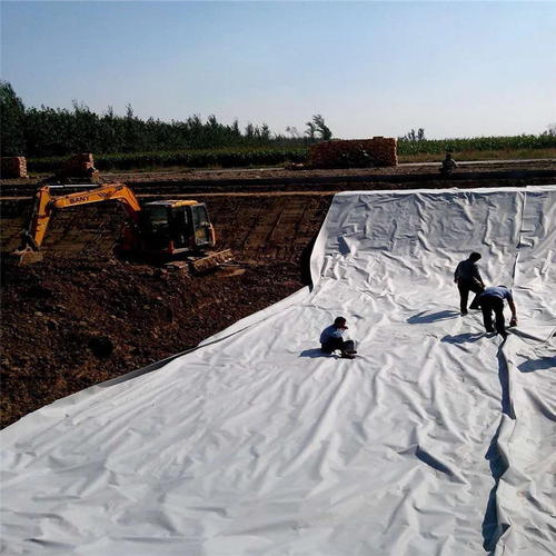 复合黄瓜视频APP下载地址膜在施工过程中质量控制要点