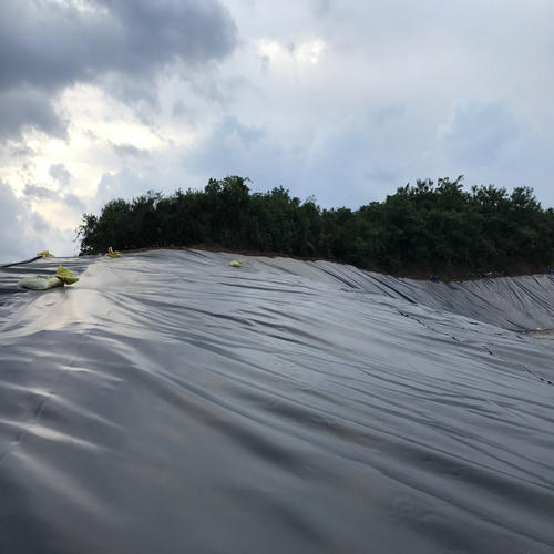 黄瓜视频APP下载地址膜施工方案相应步骤对黄瓜视频APP下载地址膜的伤害之三