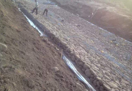 防水黄瓜视频APP下载地址膜在滑坡体治理方案
