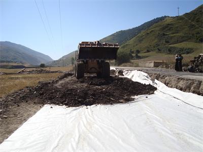 东北季冻区复合黄瓜视频APP下载地址布设置位置选取