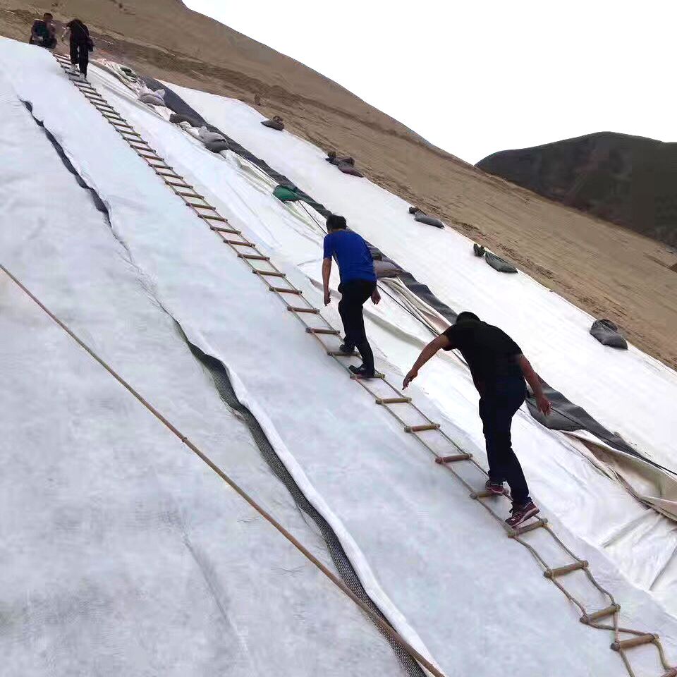 复合黄瓜视频APP下载地址膜的施工及质量控制