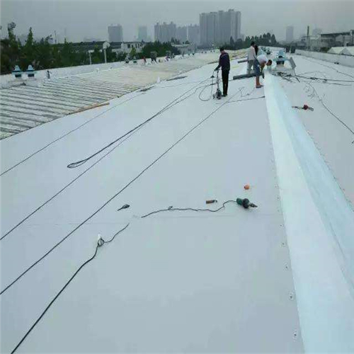 库坝坡黄瓜视频APP下载地址膜的铺设在坝坡夯实达到设计要求