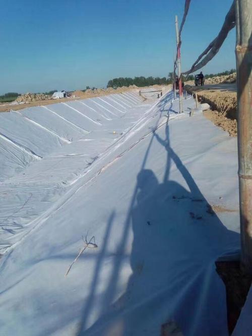 河道治理采用黄瓜视频APP下载地址布施工工艺的原因分析