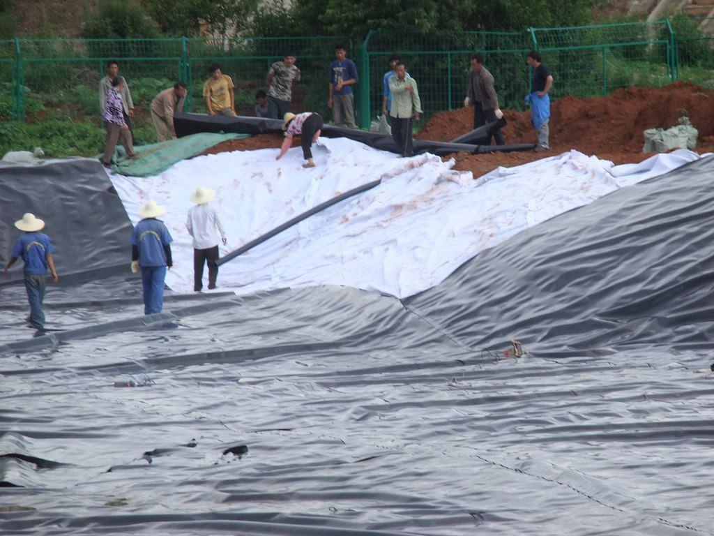 高密聚乙烯(hdpe)黄瓜视频APP下载地址膜在填埋复合防渗层中的应用