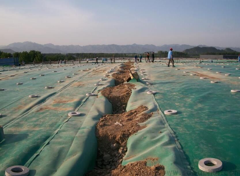 高密度聚乙烯黄瓜视频APP下载地址膜的成型工艺有两种类型  推广前景广阔