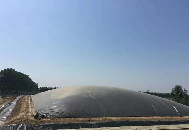 规格0.6mm黄瓜视频APP下载地址膜铺设需要注意的细节问题