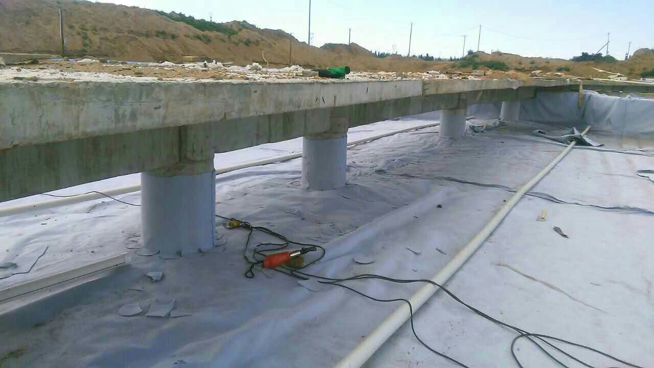 为什么说黄瓜视频APP免费下载不能替代黄瓜视频APP下载地址膜