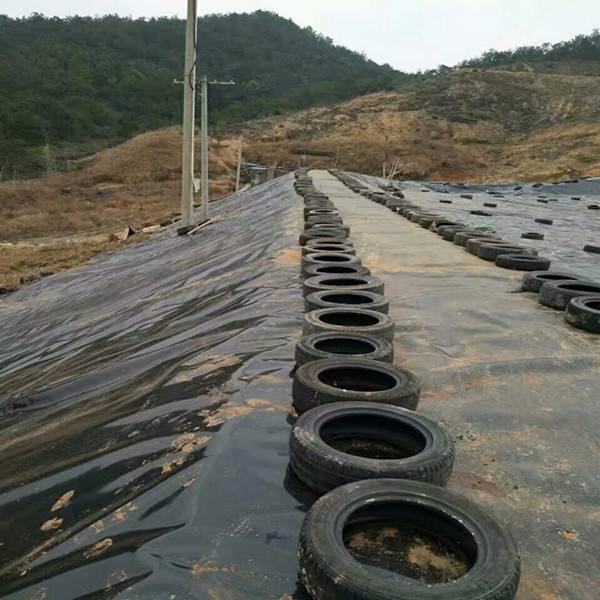环保领域对黄瓜视频APP下载地址合成材料的关注点是什么？