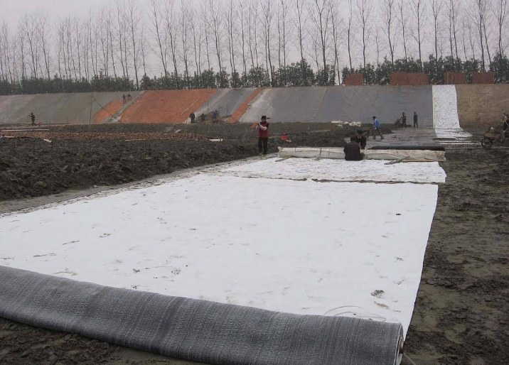 人工湖黄瓜视频APP免费下载施工工艺的应用