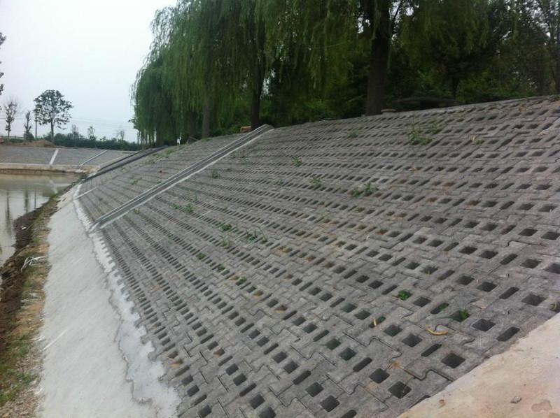 3种常见的坡式护岸技术分别是什么类型？