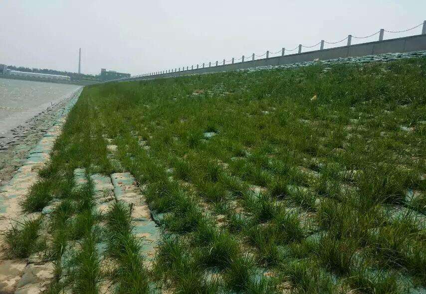 常用的海岛边坡修复技术有哪些？如何修复海岛边坡？