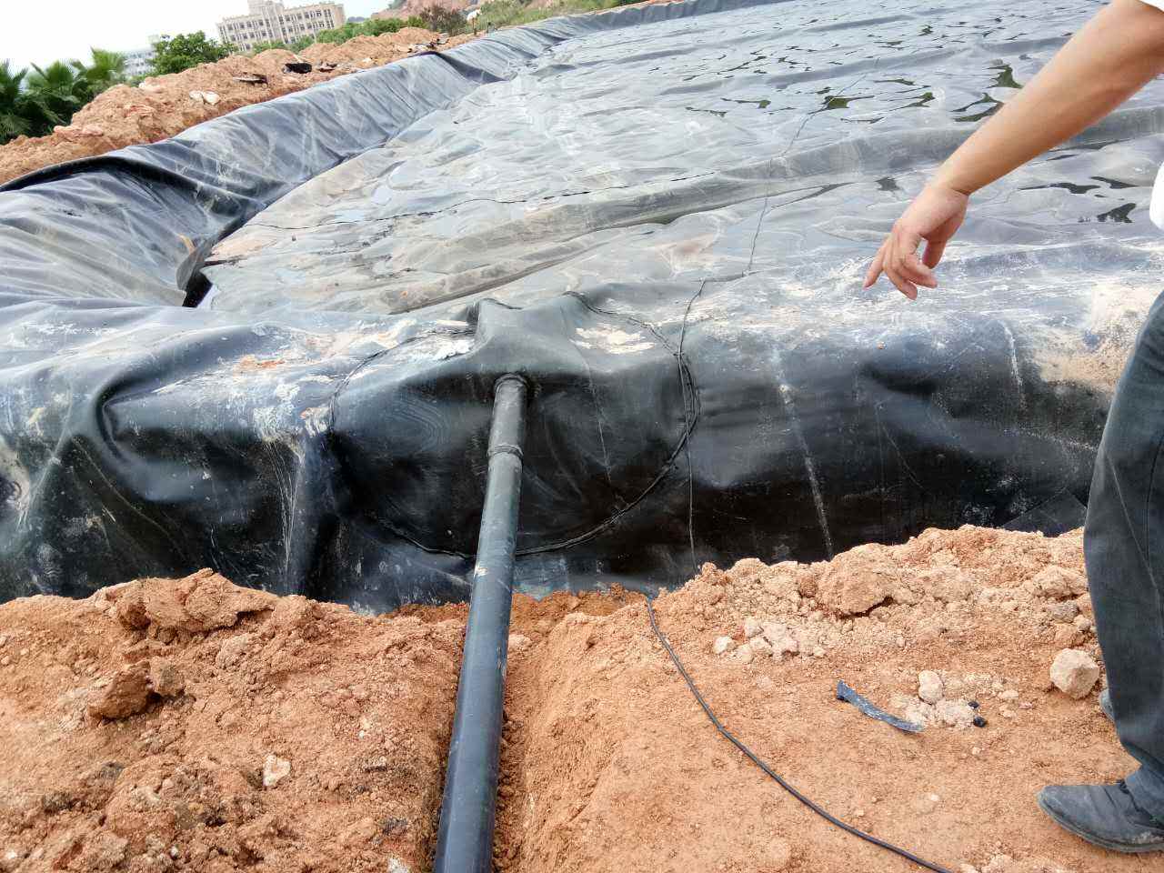 黄瓜视频APP下载地址膜在强透水地基充砂管袋围堰施工中的应用