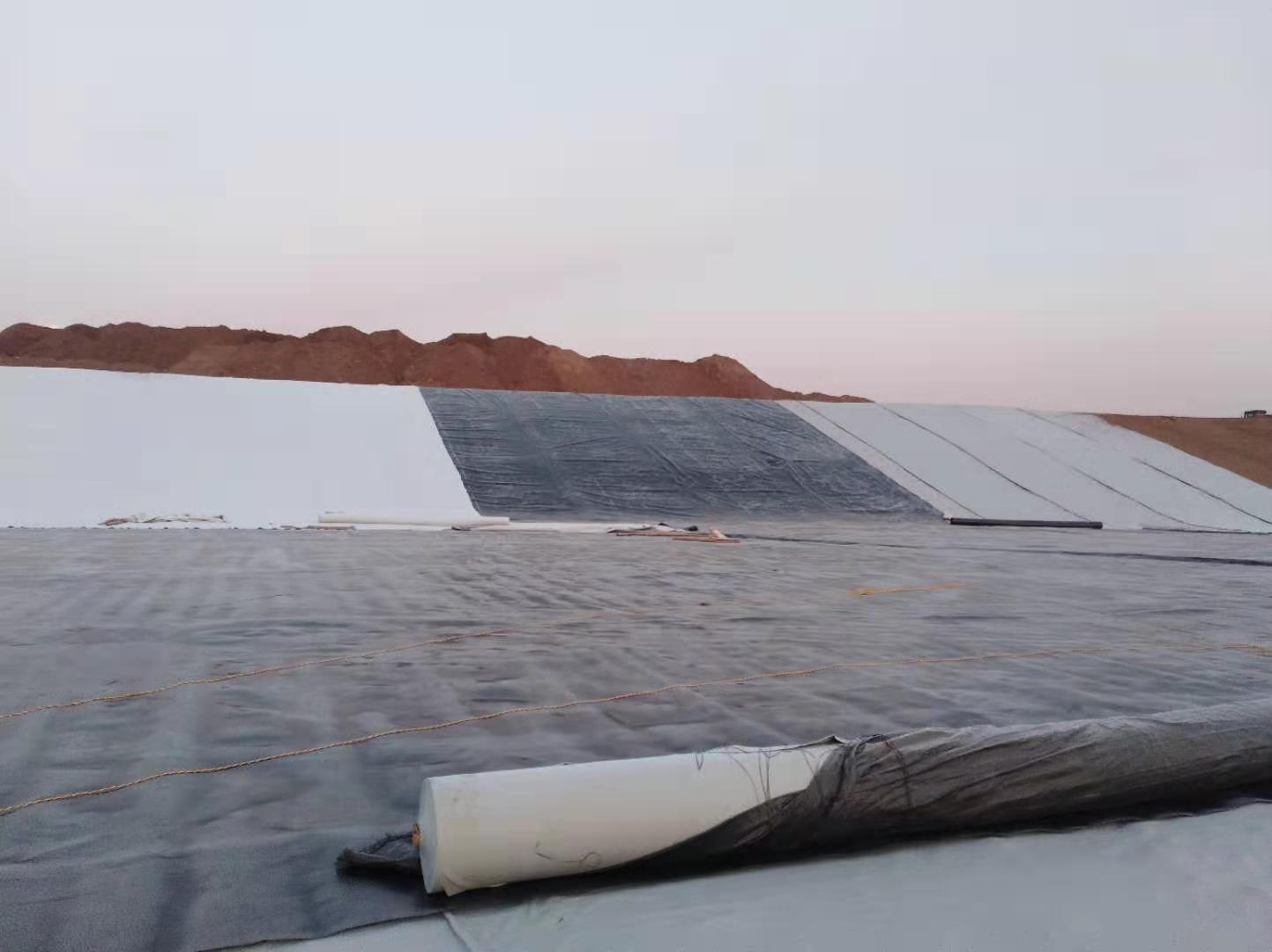 复合黄瓜视频APP下载地址膜与大坝防渗墙、防浪墙、大坝两侧脚趾板锚固结构情况
